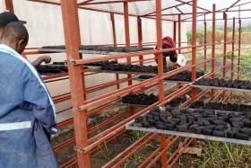 briquettes-drying